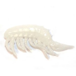 Силиконовая приманка Prizyor Gammarus 1" (25mm) цвет 006 Белый