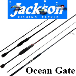 Jackson Ocean Gate