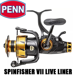 Penn Spinfisher VII Live Liner