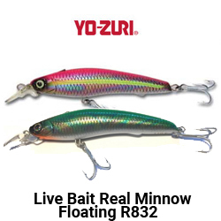 Yo-zuri Live Bait Real Minnow Floating R832