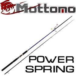  Mottomo Power Spring