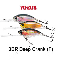 Yo-Zuri 3DR Deep Crank (F) R1319