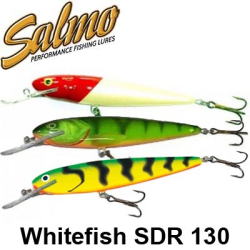 Salmo Whitefish SDR 130