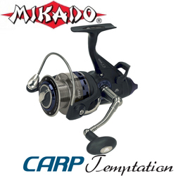 Mikado Carp Temptation