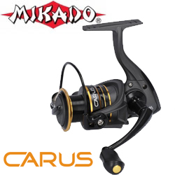 Mikado Carus FD