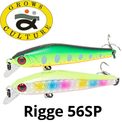 Grows Culture Rigge 56