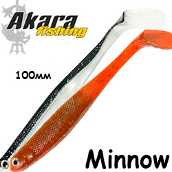 Akara Minnow 100