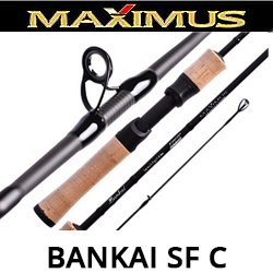 Maximus Bankai SF C