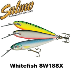 Salmo Whitefish SW18SX