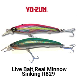 Yo-zuri Live Bait Real Minnow Sinking R829