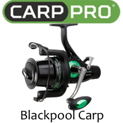 Carp Pro Blackpool Carp