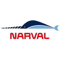 Narval