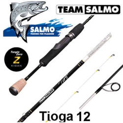 Team Salmo Tioga 12