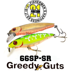 Pontoon21 Greedy Guts 66SP-SR 