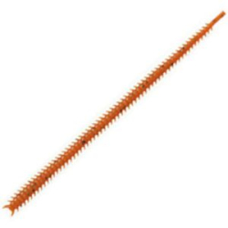 Силиконовая приманка Marukyu Power Isome (Ultra Thick) Brown E Palolo Worm (4905789004781)