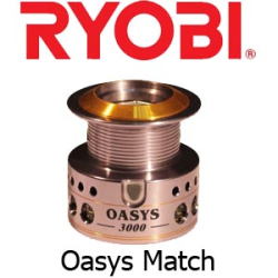 Ryobi Oasys match