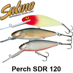 Salmo Perch SDR 120 