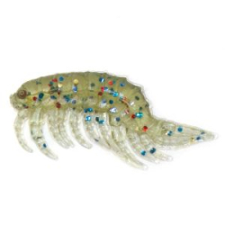 Силиконовая приманка Prizyor Gammarus 1" (25mm) цвет 010 Зелёная Тыква