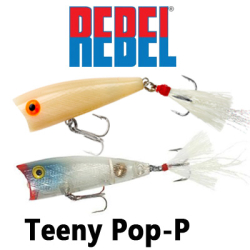 Rebel Teeny Pop-P P50