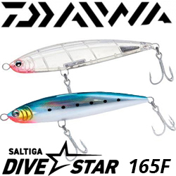 Daiwa Saltiga Dive Star 165F