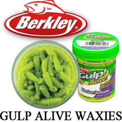 Berkley Gulp Alive Waxies