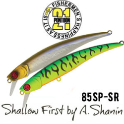 Pontoon21 Shallow First 85SP-SR