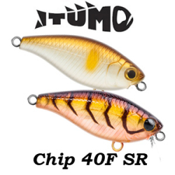 Itumo Chip 40F SR