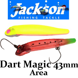 Jackson Dart Magic Area 43мм 3гр.