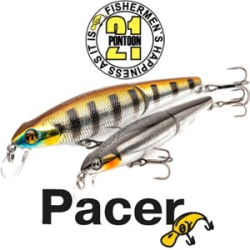 Pontoon21 Pacer