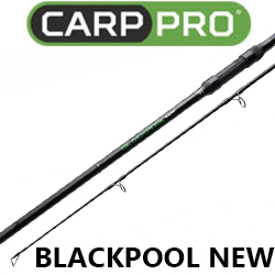 Carp Pro Blackpool New