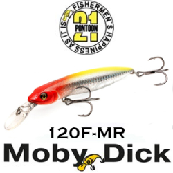 Pontoon21 Moby Dick 120F-MR 