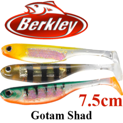 Berkley Gotam Shad 3"