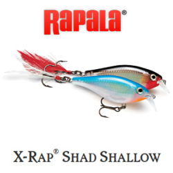 Rapala X-Rap Shad Shallow