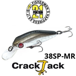 Pontoon21 Crackjack 38SP-MR