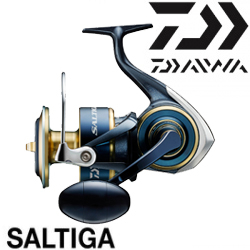 Daiwa 20 Saltiga (G)