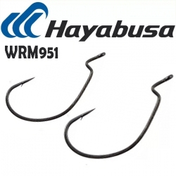 Hayabusa WRM951