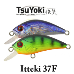 TsuYoki Itteki 37F