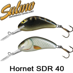 Salmo Hornet SDR 40