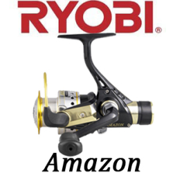 Ryobi Amazon