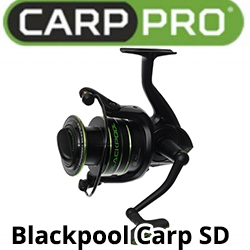 Carp Pro Blackpool Carp SD