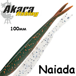 Akara Naiada 100