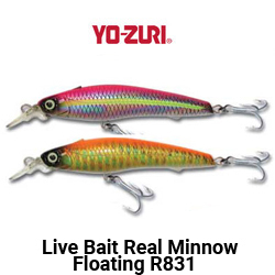 Yo-zuri Live Bait Real Minnow Floating R831