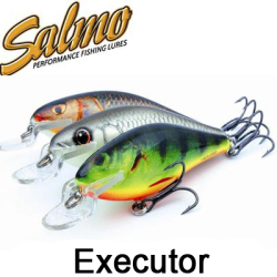 Salmo Executor