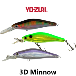 Yo-Zuri 3D Minnow 100SP F621