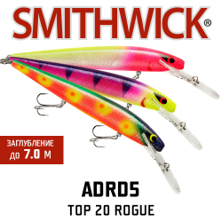 Smithwick ADRD5 Top 20 Rogue