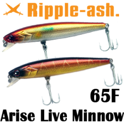 Ripple-Ash Arise Live Minnow 65F