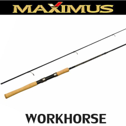 Maximus Workhorse