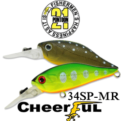 Pontoon21 Cheerful 34SP-MR 