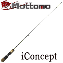 Mottomo iConcept