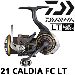 Daiwa 21 Caldia LT